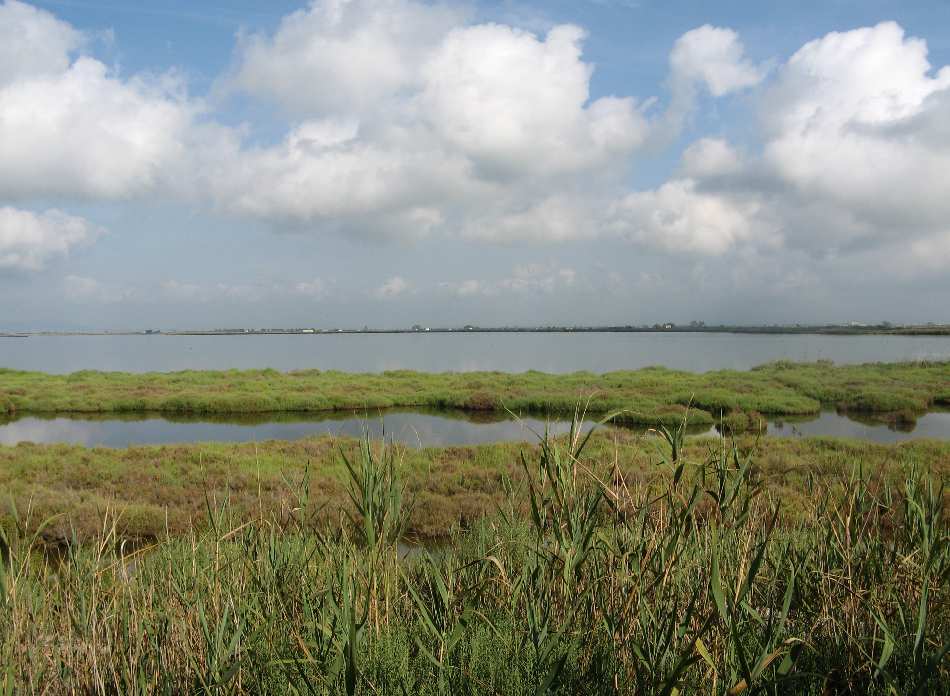 DELTA DE L'EBRE