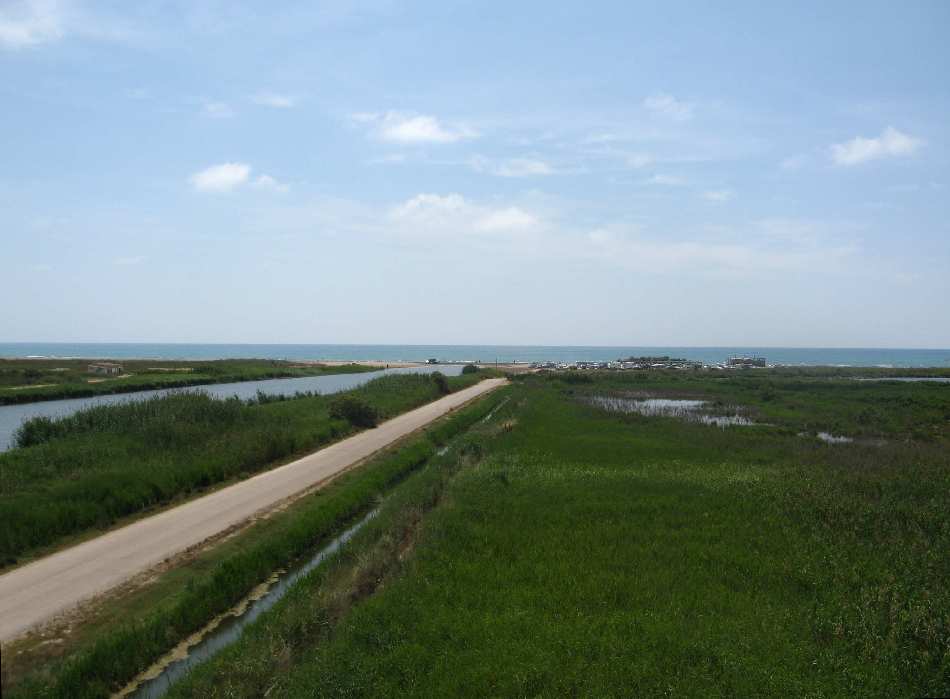 DELTA DE L'EBRE