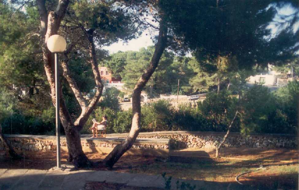 EL APARTAMENTO EN CALA SANTANDRIA. MENORCA.
DOLORS LEYENDO ENTRE LOS ARBOLES
